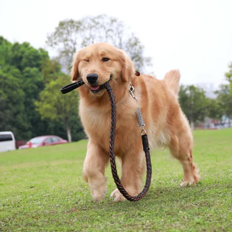 犬 大型犬 ハーネス オシャレ 首輪 リード ペットハーネス 中型犬 大型犬 ハーネスリードセット 2点セット ウェアハーネス 丈夫 犬用 編み風 脱出防止 調整可能 おでかけ シンプル 高品質