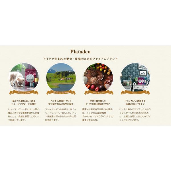 Plaiaden プレイアーデン プリンツ 小粒 1kg 1000g ドッグフード 犬 餌 鶏肉 チキン ヒューマングレード