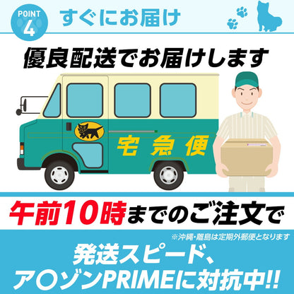 <a href="https://www.qoo10.jp/gmkt.inc/Search/brand.aspx?brandno=126282" target="_blank" class="title_brand" id="btn_brand" title="Laundly">Laundly</a>最短翌日到着 ペットシーツ 小分け 薄型 ペットシート ワイド 100枚 レギュラー 200枚 スーパーワイド50枚 小分け容量 トイレシーツ 超薄型タイプ 1回使い捨て 犬 猫 トイレ シー