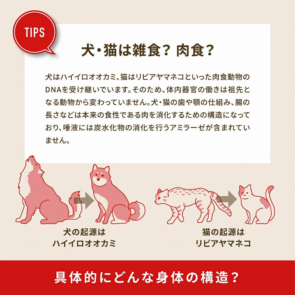 <a href="https://www.qoo10.jp/gmkt.inc/Search/brand.aspx?brandno=123886" target="_blank" class="title_brand" id="btn_brand" title="ACANA(PET)">ACANA(PET)</a>【アウトレット　賞味期限印字不良】アカナ ライト＆フィットレシピ　2kg【ドッグフード】【正規品】