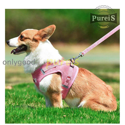 2-5日出荷 新品推奨 犬 ハーネス リード付 ペット服 ウェアハーネス 胴輪 キャット ドッグ メッシュ 一体型 胸あて式 軽量 調節可能 犬用 小型犬 ペット用品 猫用首輪 猫/犬 可愛い ポイン