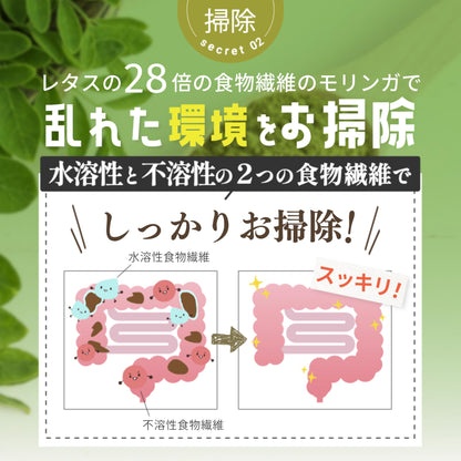 【獣医師監修】 あいこな 犬 サプリ 腸活 腸内環境 整腸 皮膚 お腹の健康維持 犬 猫 乳酸菌 モリンガ 食物繊維 酵素 サプリメント 60g