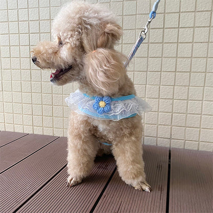 犬の牽引紐レースの胸の帯のテディ比熊の小型犬の牽引犬の縄は犬のひもの犬のチェーンを散歩します