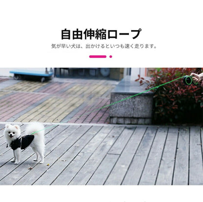 フレキシブルリード 5m 8m 伸縮リード ペットリード 犬 リード 伸縮 ペット 犬用 ペット用品 ドッグ リール お散歩リード お散歩 散歩 犬用品 中型犬 大型犬 巻き取 小型犬