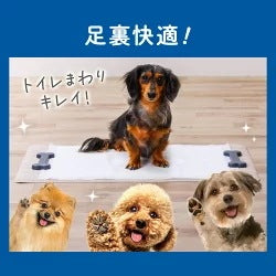<a href="https://www.qoo10.jp/gmkt.inc/Search/brand.aspx?brandno=49458" target="_blank" class="title_brand" id="btn_brand" title="アイリスオーヤマ">アイリスオーヤマ</a>ペットシーツ ペットシート 犬 猫 トイレ レギュラー100枚2袋セット ワイド50枚2袋セット ダブルワイド22枚2袋セット 厚型 超吸収 CSPS-100 CSPS-50W CSPS-22DW メ