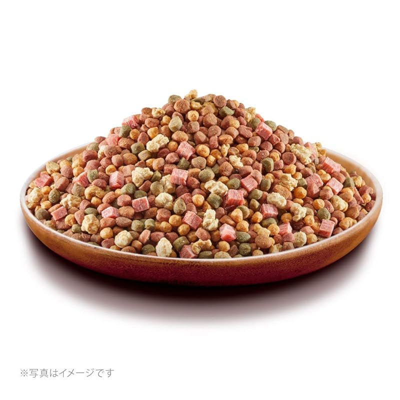 【即納】グラン・デリ ドッグフード ふっくら仕立て ビーフ・さつまいも・鶏ささみ・緑黄色野菜・小魚・角切りビーフ粒入り 1.7kg