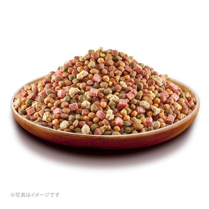 【即納】グラン・デリ ドッグフード ふっくら仕立て ビーフ・さつまいも・鶏ささみ・緑黄色野菜・小魚・角切りビーフ粒入り 1.7kg