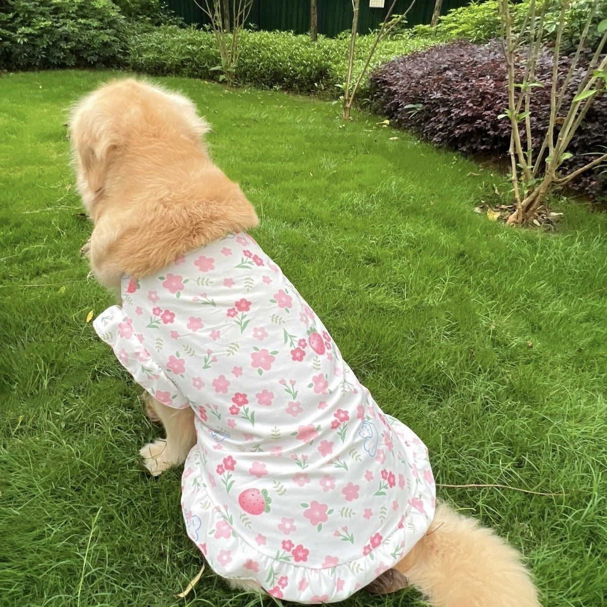 【新作犬猫服 登場】 犬服 ペット服 犬 洋服 春夏大型犬ペットベスト中型犬大型犬服
