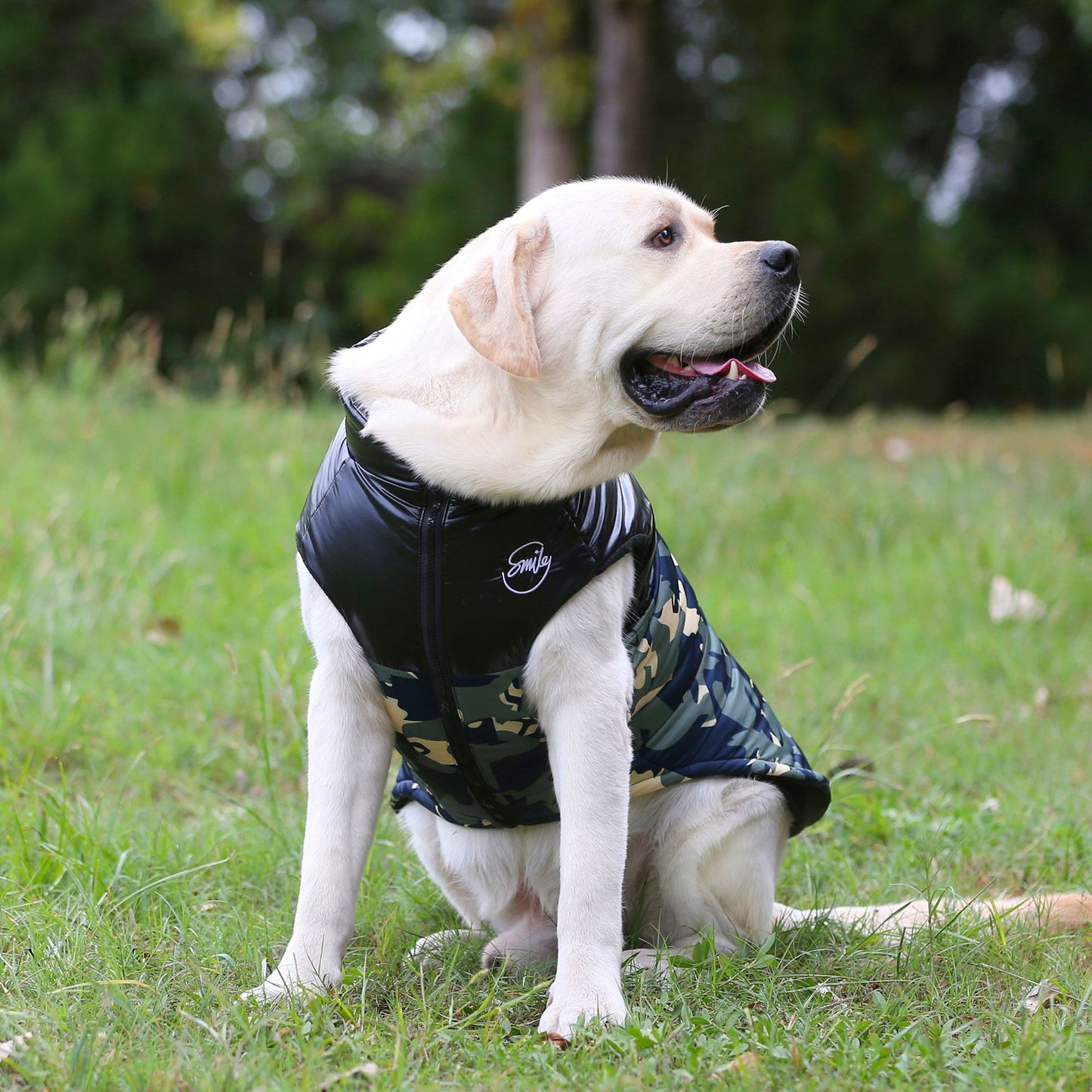 猫 犬 洋服 犬服 ペット服 大中小型犬 ペット用品 犬/猫用 犬の服 ペットウエア 小型犬 中型犬 通気 可愛い ドッグウェア トレーナー 犬 服 ワンピース サロペット ビションフリーゼ 犬猫服