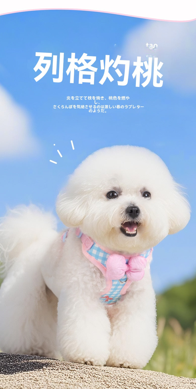 ペット用リード ハーネス リード 犬 2点セット 犬猫兼用 胴輪 脱げない 簡単 小型犬 中型犬 大型犬 散歩 ペット ストレスフリーで快適お散步