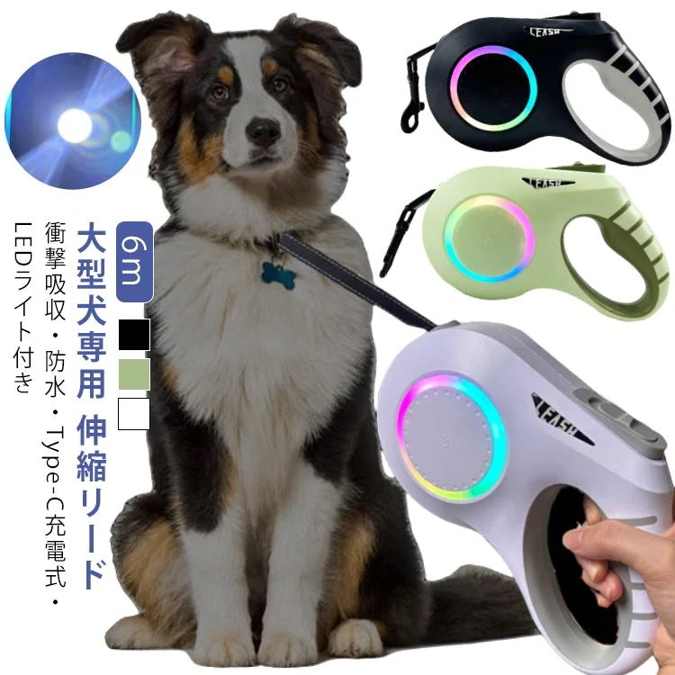 大型犬 伸縮リード 6m LED ライト付き 雰囲気ライト USB 充電式 犬 リード 伸縮 光る 犬用 中型犬 小型犬 ドッグリード タッチパネル ワンタッチ Type-C 充電 大容量電池 長時間
