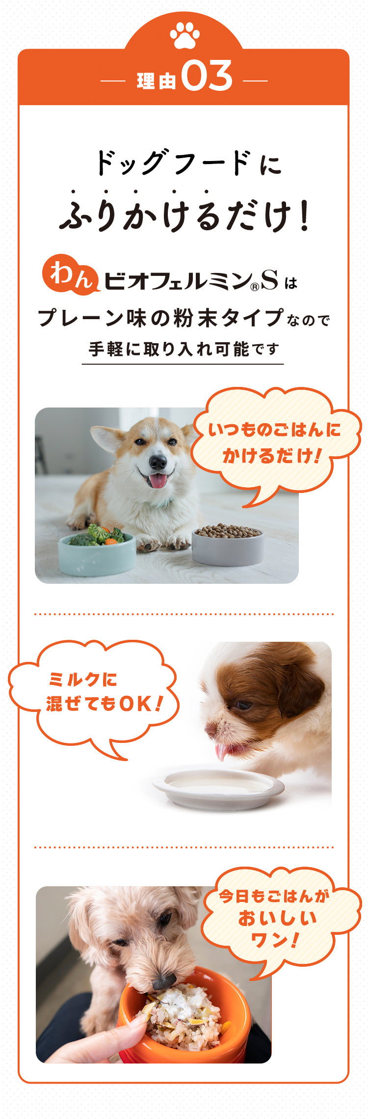 <a href="https://www.qoo10.jp/gmkt.inc/Search/brand.aspx?brandno=62316" target="_blank" class="title_brand" id="btn_brand" title="大正製薬">大正製薬</a>【公式】大正製薬 わんビオフェルミンS 40g 6袋 犬 サプリ サプリメント 腸活 免疫力 健康維持 ビフィズス菌 乳酸菌 犬サプリ イヌ 犬用 ペット 腸活サプリ 無添加 ふりかけ 粉 腸内環境