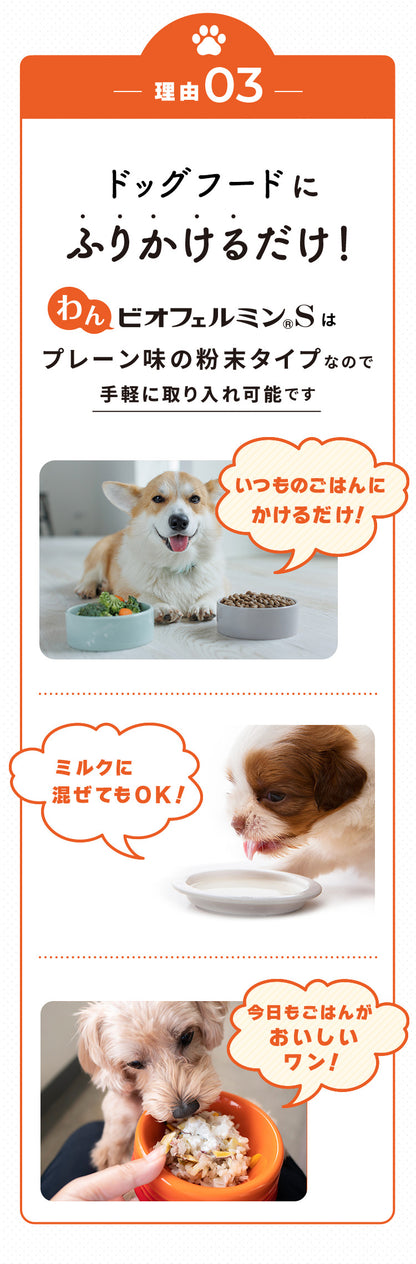 <a href="https://www.qoo10.jp/gmkt.inc/Search/brand.aspx?brandno=62316" target="_blank" class="title_brand" id="btn_brand" title="大正製薬">大正製薬</a>【公式】大正製薬 わんビオフェルミンS 40g 6袋 犬 サプリ サプリメント 腸活 免疫力 健康維持 ビフィズス菌 乳酸菌 犬サプリ イヌ 犬用 ペット 腸活サプリ 無添加 ふりかけ 粉 腸内環境