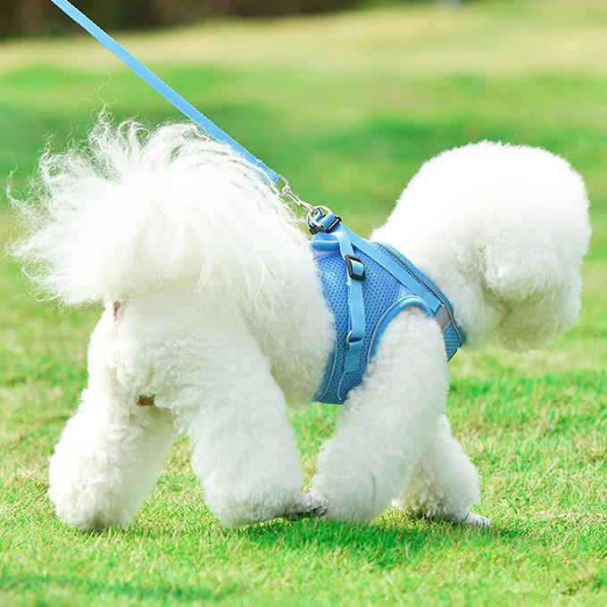犬ウェアハーネス リードセット ネコ ワンちゃん 大人気 上品 全サイズ リードメッシュハーネス 愛犬 反射板 散歩 安心 マジックテープ