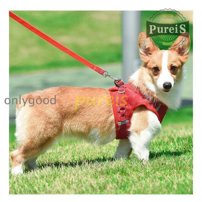 2-5日出荷 新品推奨 犬 ハーネス リード付 ペット服 ウェアハーネス 胴輪 キャット ドッグ メッシュ 一体型 胸あて式 軽量 調節可能 犬用 小型犬 ペット用品 猫用首輪 猫/犬 可愛い ポイン
