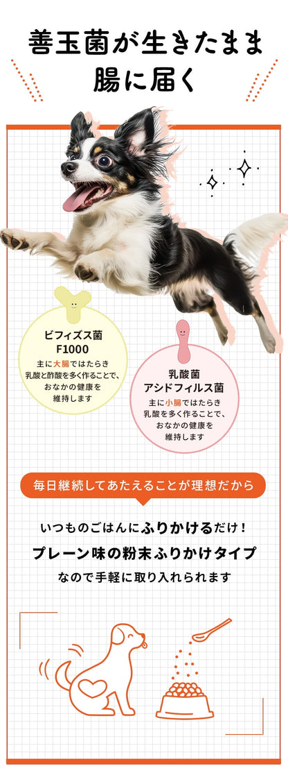 <a href="https://www.qoo10.jp/gmkt.inc/Search/brand.aspx?brandno=62316" target="_blank" class="title_brand" id="btn_brand" title="大正製薬">大正製薬</a>【公式】大正製薬 わんビオフェルミンS 40g 6袋 犬 サプリ サプリメント 腸活 免疫力 健康維持 ビフィズス菌 乳酸菌 犬サプリ イヌ 犬用 ペット 腸活サプリ 無添加 ふりかけ 粉 腸内環境