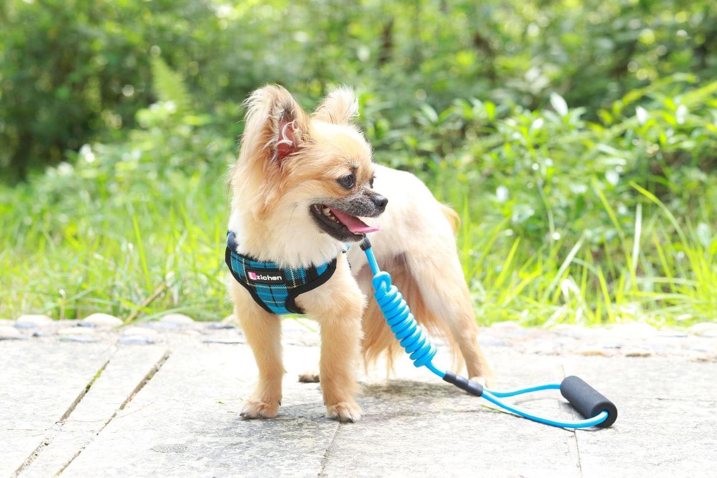 簡単装着 小型犬 胴輪 130 ペットハーネス 犬用ハーネス ハーネスリードセット おしゃれ リード 中型犬 お出かけ 犬用 猫用 シンプル 犬 ペット用品 軽量 リーシュ ネコ用ハーネス ハーネス