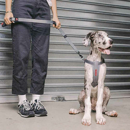 【人気商品】EZ リード ゼロショック 120cm EZYDOG