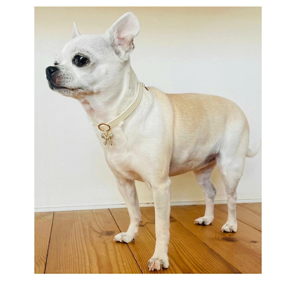 <a href="https://www.qoo10.jp/gmkt.inc/Search/brand.aspx?brandno=121124" target="_blank" class="title_brand" id="btn_brand" title="MELODY ACCESSORY">MELODY ACCESSORY</a>犬用 ネックレス 首輪 チョーカー ドッグアクセサリー 日本製 フラワー 鍵 りぼん リボン 送料無料 調節可能 犬 いぬ ねこ 猫 ペット シンプル 小型犬 中型犬 かわ