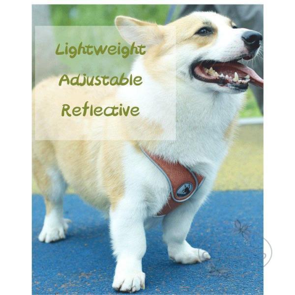 犬 猫 ハーネスリード付き 脱げない 苦しくない おしゃれ ペット服 胴輪 犬 ハーネス 犬用リード 愛犬 お散歩 ペット用品 丈夫 小型犬 中型犬 おしゃれ メッシュ