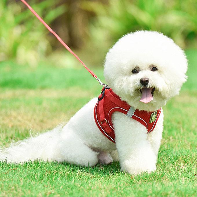 犬ウェアハーネス リードセット ネコ ワンちゃん 大人気 上品 全サイズ リードメッシュハーネス 愛犬 反射板 散歩 安心 マジックテープ