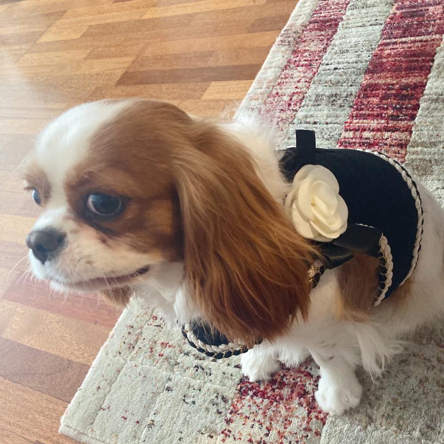 カメリア お散歩 ツイード かわいい リード ハーネス おしゃれ 犬 ペット