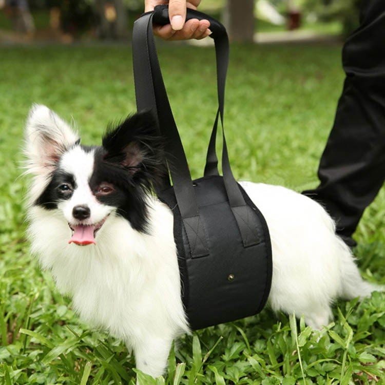 補助介護バッグ 犬ハーネス ドッググッズ犬服老犬中型大型犬zq 犬用品 犬バッグ