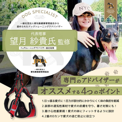 犬 ハーネス リード 抜けにくい 小型犬 中型犬 大型犬 ハーネスリードセット スタンダード 抜けない 犬用 首輪 胴輪 散歩