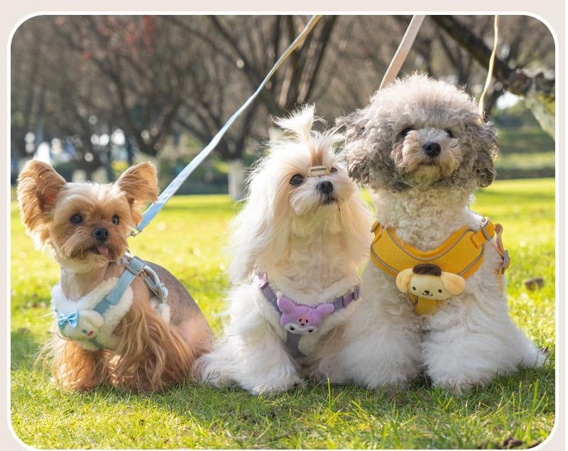 猫 犬 ハーネス 首輪 胴輪 りーど 着脱 軽量 簡単 抜けない 柔らかさ つけやすい ソフト セット 散歩 リードイヌ 子猫 子犬 おしゃれ ペット 小型犬 犬猫通用 リ一ド150cm