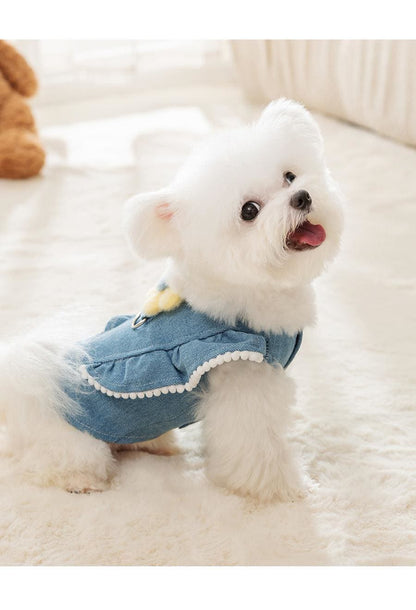 春と秋の犬服テディボーミペットのコキシナレビーベア秋冬服 牽引可能ペット衣類