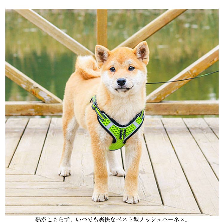 ハーネスリードセット 犬 ハーネス 小型犬 中型犬 大型犬 犬 ウェアハーネス 胴輪 キャット ドッグ ペット トレーニング ペット用品 お散歩 しつけ リード 引っ張り 防止 メッシュ 装着しやすい