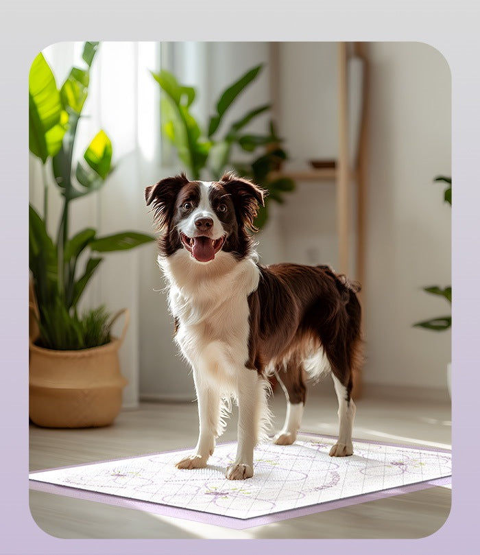 <a href="https://www.qoo10.jp/gmkt.inc/Search/brand.aspx?brandno=109151" target="_blank" class="title_brand" id="btn_brand" title="Honeycare">Honeycare</a>ペットシーツ 薄型 うす型 横漏れ防止 ペットシート犬猫 サイズ選択可 レギュラー400枚 ワイド200枚 スーパーワイド100枚