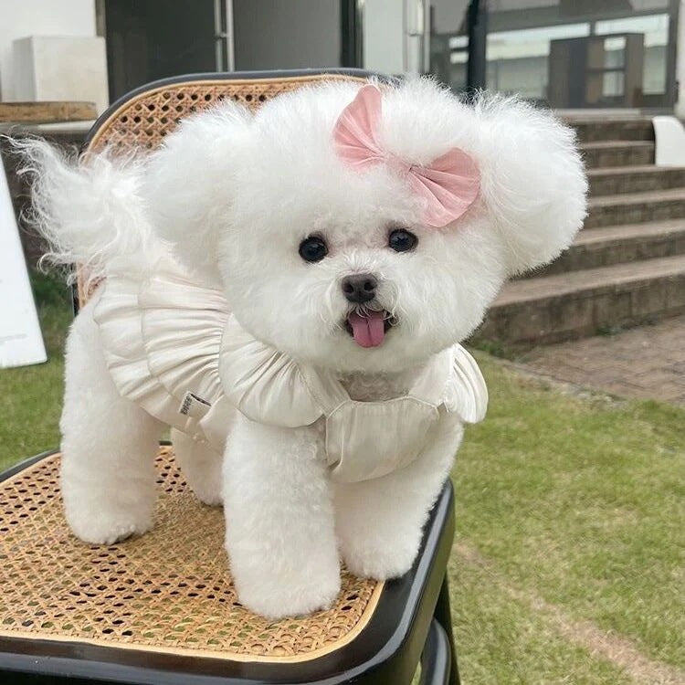 春夏新作 薄手のチョッキ ペット ペットの服 ペット用品 チュールスカートテディベア 愛犬 犬服 犬の服