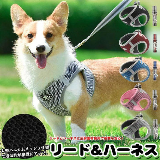 新商品プロモーション，数量限定 セラー犬 ハーネス リード付 ペット 服 ハニカムメッシュ ウェアハーネス 胴輪 キャット ドッグ メッシュセラー犬 ハーネス