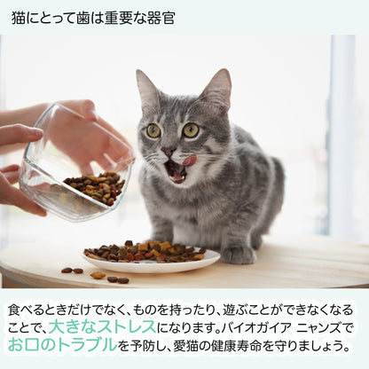 <a href="https://www.qoo10.jp/gmkt.inc/Search/brand.aspx?brandno=112140" target="_blank" class="title_brand" id="btn_brand" title="BioGaia">BioGaia</a>【公式ストア 即日発送】ニャンズ Nyans 10ml（猫用 犬にも使用可）無味無臭 リキッド サプリメント 口臭 便秘