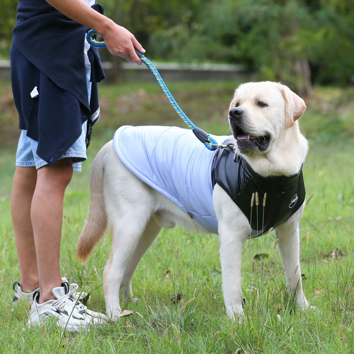 猫 犬 洋服 犬服 ペット服 大中小型犬 ペット用品 犬/猫用 犬の服 ペットウエア 小型犬 中型犬 通気 可愛い ドッグウェア トレーナー 犬 服 ワンピース サロペット ビションフリーゼ 犬猫服