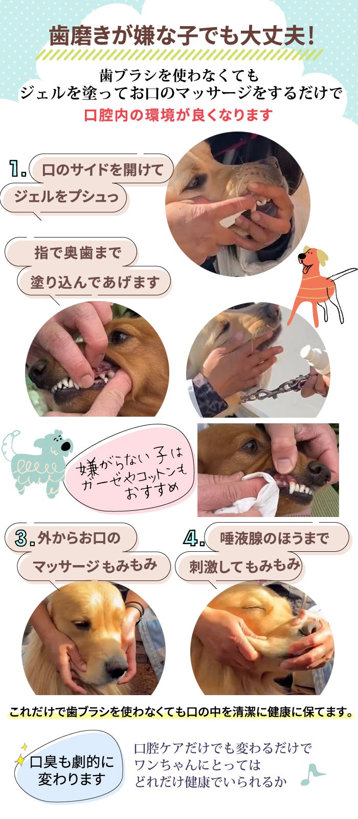 獣医推薦愛犬愛猫の歯垢歯石歯周病が塗るダケでツルツルな歯に！安心安全な100％天然由来！歯磨ジェル　ピュアツルデンタル60m