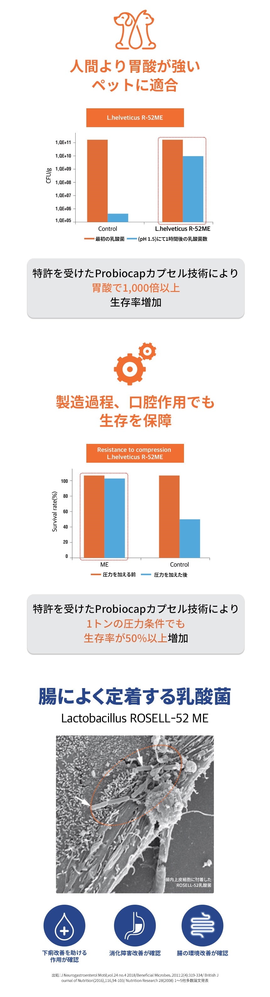 <a href="https://www.qoo10.jp/gmkt.inc/Search/brand.aspx?brandno=120824" target="_blank" class="title_brand" id="btn_brand" title="ドクターバイ">ドクターバイ</a>[公式]犬プロバイオティクス犬乳酸菌サプリメント下痢止め便秘解消整腸剤下痢 30本(60g)