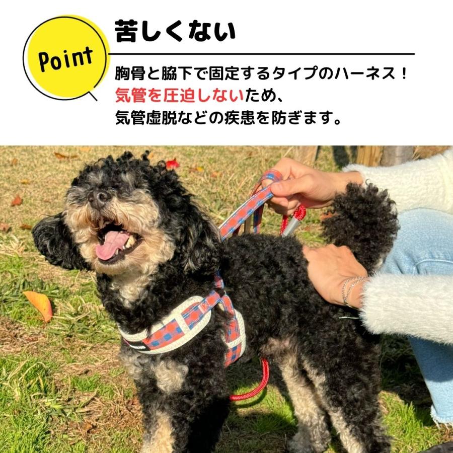 フレブル 胴輪 犬 小型犬 ハーネス チェック柄メッシュハーネスリードセット 中型犬 柴犬 犬用ハーネス おしゃれ 犬のハーネス ソフトハーネス