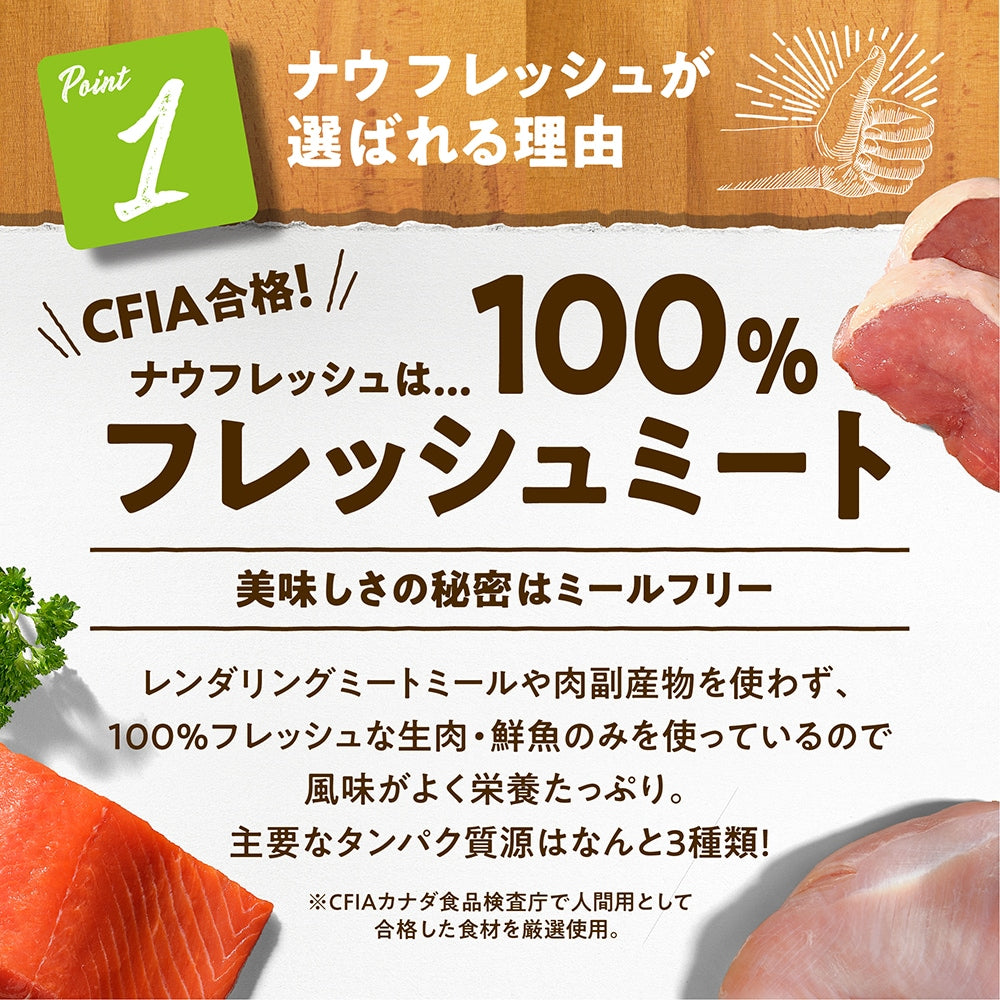 ナウフレッシュ グレインフリー スモールブリード アダルト 2.3kg 小粒 ドッグフード NOW FRESH