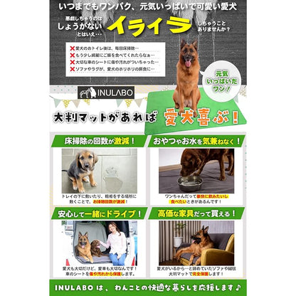 【即納】INULABO(イヌラボ) 洗える ペットシーツ 特大 おしっこマット 防水 床保護 ペットマット 丸ごと洗える 【わんこが思いっきり遊べる】 (165×122cm(1枚), グリーン)