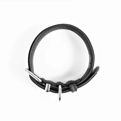 【人気商品】EZ レザーカラー L