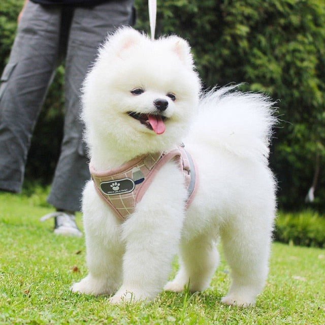 犬用ハーネスリードおしゃれな犬ファッションペット用品リードハーネス犬ベルト脱げない