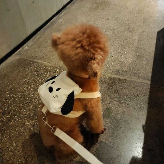 ペットの外出はかわいいですリュックサックの小型カバンは熊のテディの牽引紐の子犬の猫より可愛いです