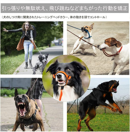 新作セールVOOPH ジェントルリード 犬 トレーニングヘッドカラー 犬用ヘッドカラー ペット用品 ヘッドカラー ジェントルリーダー 犬の首輪マズル 犬ホルター ヘッドカラー クイックリリース トレー