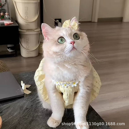 お得な商品 犬服 かわいい バルーン ドレス 犬洋服 猫服 猫 ワンピース 猫用 犬の服 犬用服 ペット服 キャミソール 犬 透け感 夏 春夏 犬服夏 着せやすい大好評
