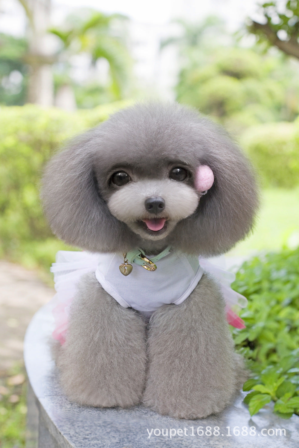 猫 犬 洋服 犬服 ペット服 大中小型犬 ペット用品 犬/猫用 犬の服 ペットウエア 小型犬 中型犬 通気 可愛い ドッグウェア トレーナー 犬 服 ワンピース サロペット ビションフリーゼ 犬猫服