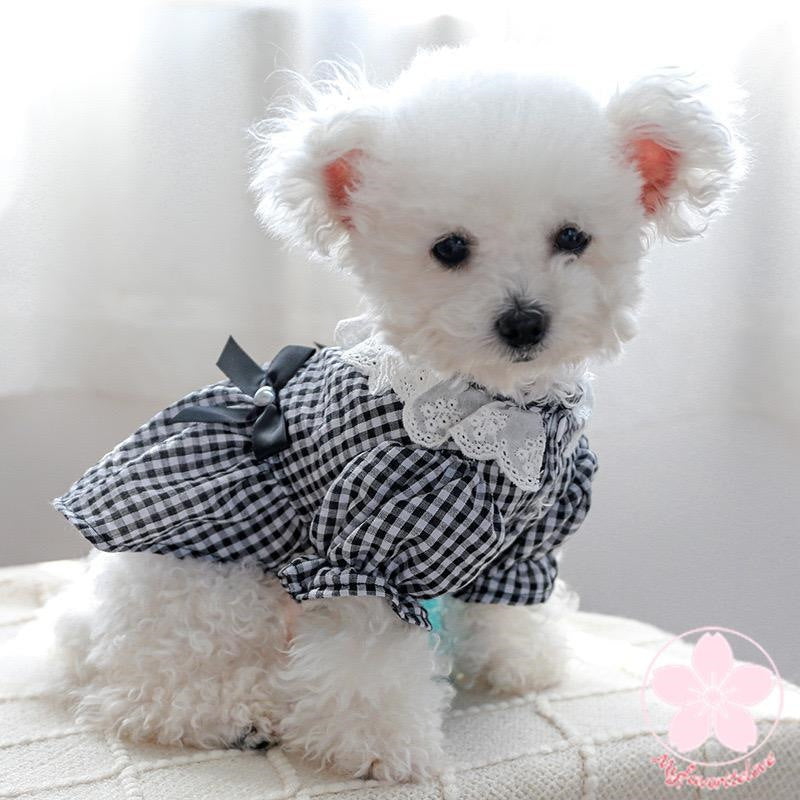 新入庫 ペット 服 安い 犬 春 夏 秋 ブラック チェック 柄 ワンピース かわいい 可愛い ハイブランド 猫 ドッグウェア
