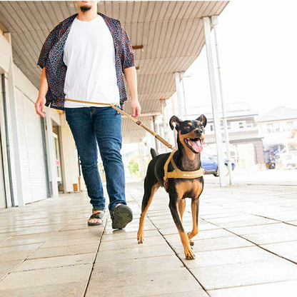 【人気商品】EZ リード ロードランナーライト コーデュロイ EZYDOG
