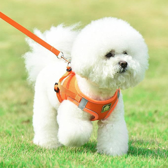 犬ウェアハーネス リードセット ネコ ワンちゃん 大人気 上品 全サイズ リードメッシュハーネス 愛犬 反射板 散歩 安心 マジックテープ
